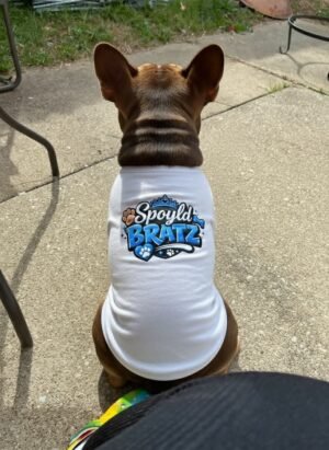 Spoyld Bratz for pets